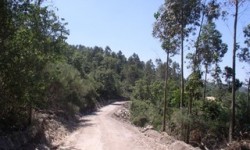 Reparação e consevação de caminhos agricolas e florestais